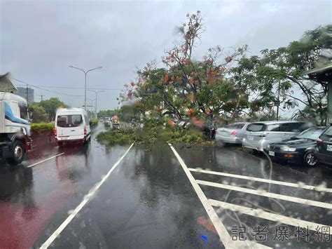 雨彈炸台南大雨快又急 路樹斷裂砸毀1自小客車幸無人傷