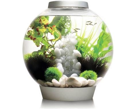 Aquarium Biorb Classic Mcr Liter Zilver Koop Nu Bij Haxo