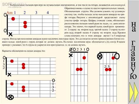 Как играть на гитаре: советы начинающим музыкантам