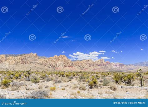 Canyon Rosso Panoramico Deserto Del Mojave Nevada Usa Della