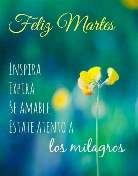 Feliz Martes