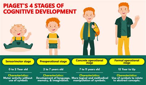 Piaget S 4 Stages Of Cognitive Development Detailed Explanation