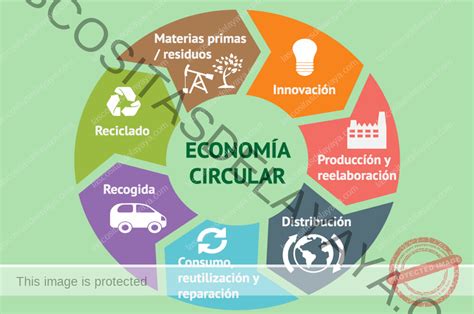 El impacto de la economía circular en el futuro sostenible