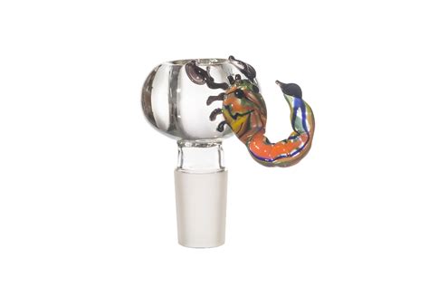 Glass Scorpion Collection