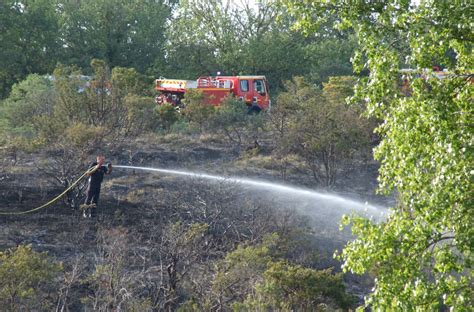 Balazuc Un Hectare Et Demi De Végétation Parti En Fumée