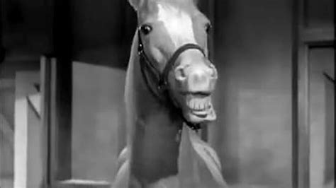 Mister Ed टीवी सीरीज़ 19611966 Imdb