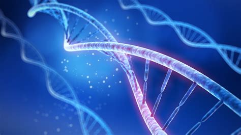 Epigenetic Marks What They Are And Why They Matter Trudiagnostic