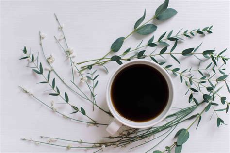 Natural herbal rinses will soon enhance and brown hair shades 2