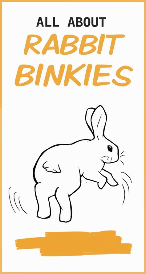 Bunny Binkies What Is That Weird Twist And Jump Rabbit Binky Binky Bunny Rabbit Jumping