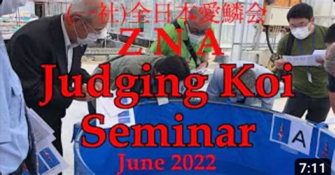 Zna Judging Koi Seminar June Zen Nippon Airinkai