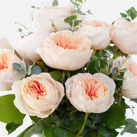 Blush Garden Rose Bouquet Flower Delivery Nyc