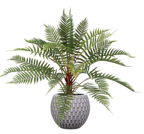 Fougere Arborescente Des Forets Artificielle H 80 Cm En Pot Superbe L