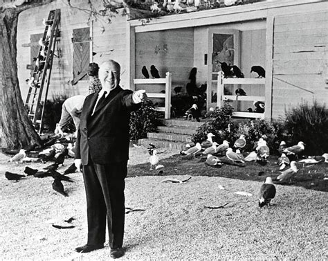 Alfred Hitchcock In The Birds Photograph By Album Pixels