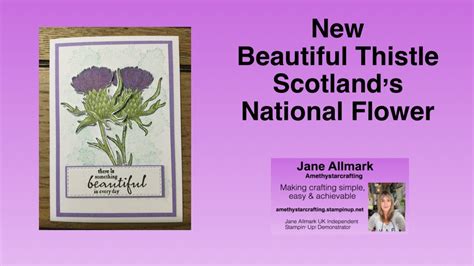 New Beautiful Thistle Stampin Up Perfect Colouring Layering Tutorial