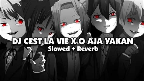 DJ CEST LA VIE X O AJA YAKAN Slowed Reverb YouTube