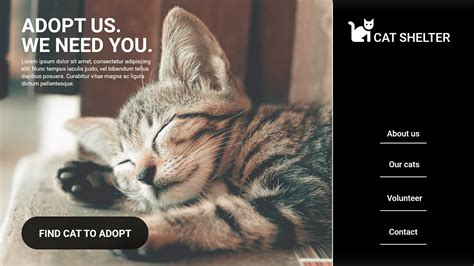 Cat Shelter Layout :: Behance