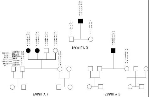 Pedigree Of Three Unrelated Lca Families Of Finnish Origin And