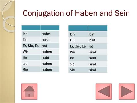 Ppt Present Perfect And Narrative Past Powerpoint Presentation Id3563662