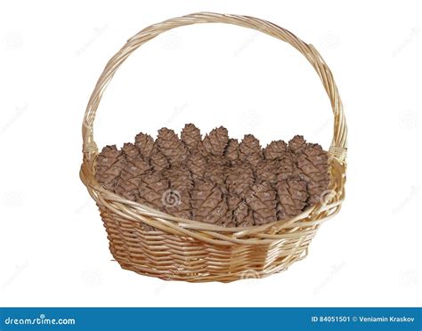 Cesta Con Los Conos Del Cedro Aislados En Blanco Imagen De Archivo