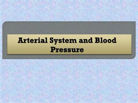 Ppt Arterial System And Blood Pressure Powerpoint Presentation Free