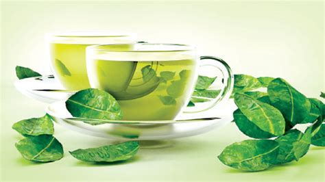 Green Tea Face Packs For Different Skin Types Daily News