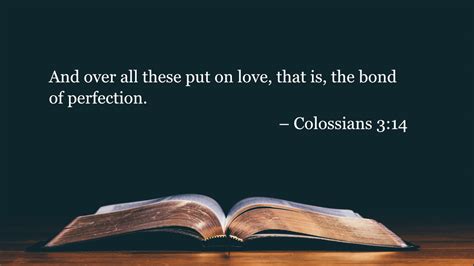 Your Daily Bible Verses Colossians 3 14 Integrated Catholic Life