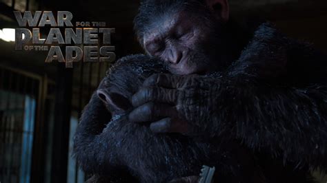 War For The Planet Of The Apes A Hero Becomes Legend 20th Century Fox Youtube