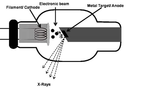 Schematic Overview Of The X Ray Generator Download Scientific Diagram