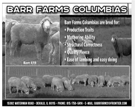 Home - Columbia Sheep Breeders Association