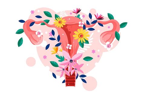 Premium Vector Female Reproductive System With Flowers