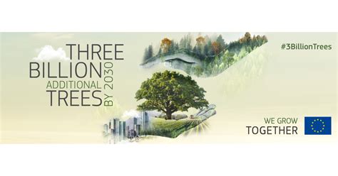 Webinar Billion Additional Trees Pledge The Counting Registration