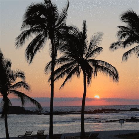 Tropical Beach Sunset Gifs