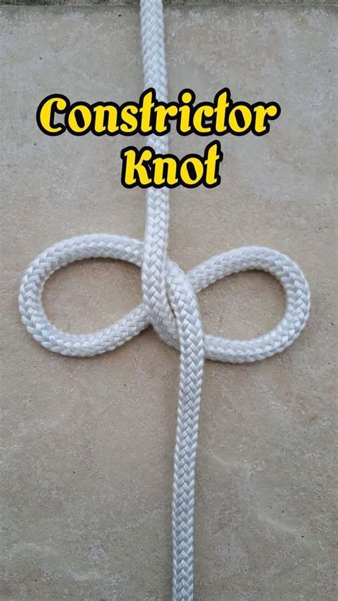 K Views K Reactions The Constrictor Knot Is One Of The Most