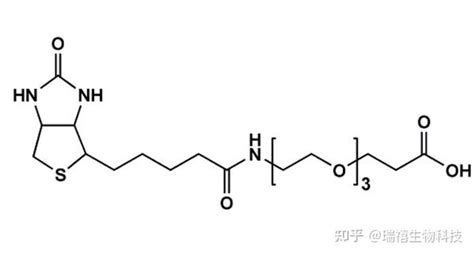 Rb Peg123344510k Oh Cas1030 000 8罗丹明 聚乙二醇 羟基 知乎