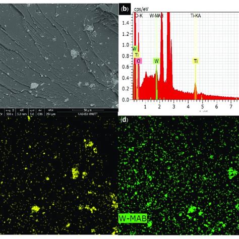 SEM Image A EDX Spectrum B And EDX Dot Maps C D Of Polymer