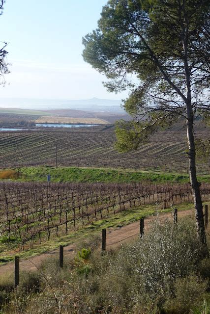 Avui Sempre D Cades De Muntanya Btt Lleida Raimat Lleida Segri