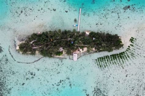 Desa Laguna Pulau Seribu Keindahan Alam Dan Kearifan Lokal