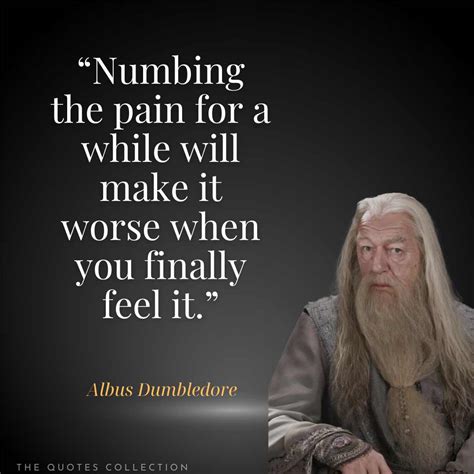 55 Powerful Albus Dumbledore Quotes from Harry Potter - The Quotes ...