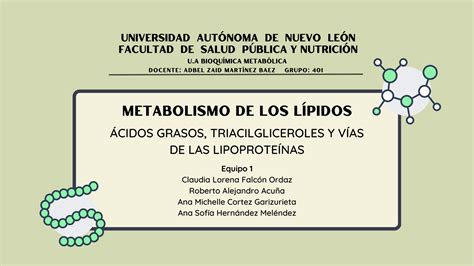 SOLUTION Metabolismo De Lipidos Studypool