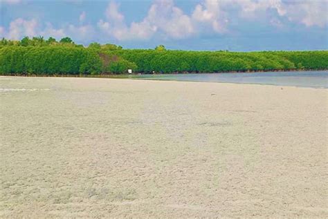 Tondol Beach of Anda- Asenso Pangasinan