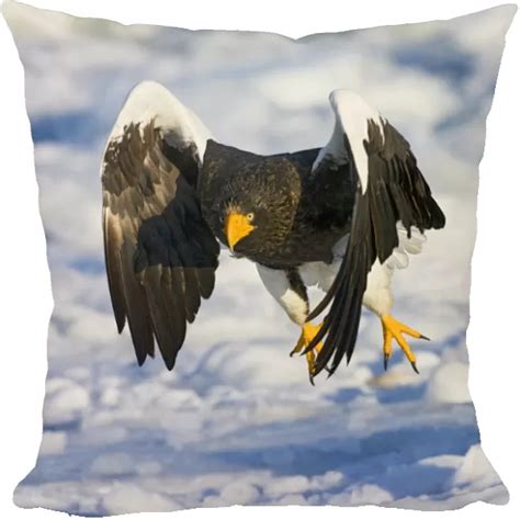 Cushion Of Stellers Sea Eagle Haliaeetus Pelagicus