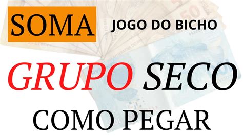 SOMA PARA 1 PREMIO NO JOGO DO BICHO YouTube