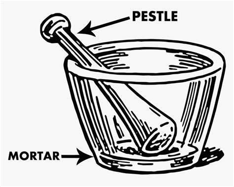 Laboratory Mortar And Pestle Drawing, HD Png Download - kindpng