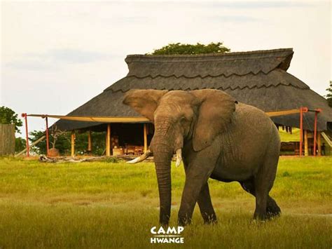 Hwange National Park Lodges • Zimbabwe