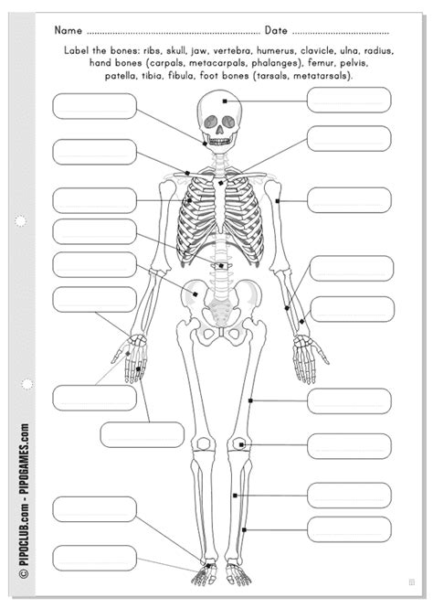 Juegos Educativos Pipo Our Bones