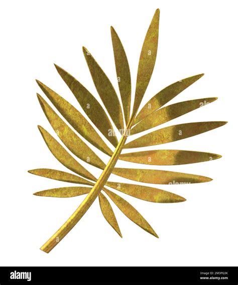 Gold Tropical Leaf Stock Vector Image And Art Alamy