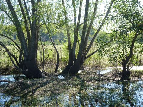 Foto Reserva Natural Del Pilar Pilar Buenos Aires Argentina