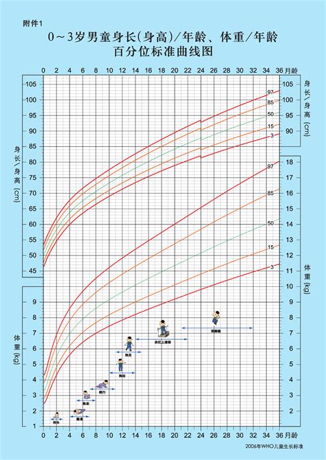 0 3岁男童体重身高百分位数曲线图word文档在线阅读与下载免费文档