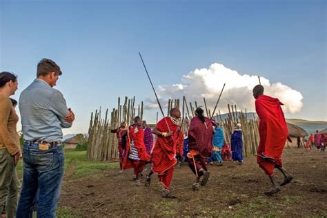 Day Serengeti Safari Book A Days Nights Serengeti Safari In