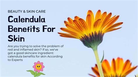 4 Calendula Benefits For Skin According To Experts » 2025